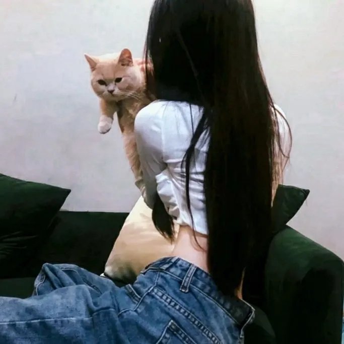 云中四步